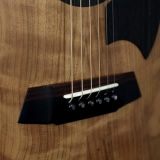 Details of my Acoustic and Hybrid Electric Guitars