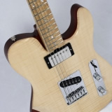 Hybrid Electric Guitar Angled Full Frontal