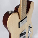 Hybrid Electric Guitars