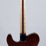 Hybrid Electric Guitar Full Back