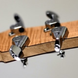 Hybrid Electric Guitar Headstock Back